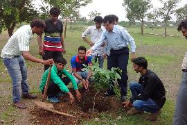 Vruksharopan 6-8-2014 